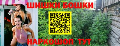 прущие грибы Новозыбков
