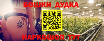 прущие грибы Новозыбков