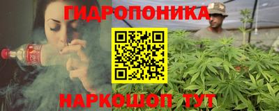 прущие грибы Новодвинск