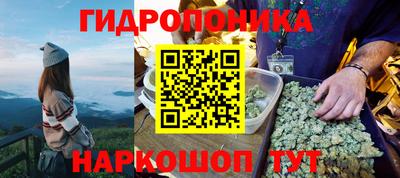 прущие грибы Новозыбков