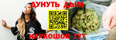 прущие грибы Новозыбков