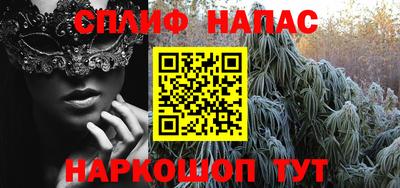 прущие грибы Новодвинск