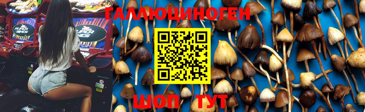 Псилоцибиновые грибы MAGIC MUSHROOMS Строитель
