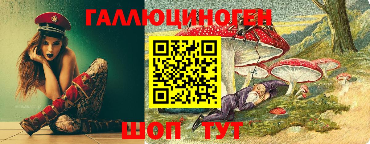 Строитель  Галлюциногенные грибы Psilocybine cubensis  Вход с VPN  Галлюциногенные грибы мухоморы 